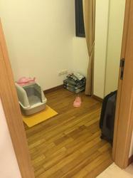 One Oxley Rise (D9), Apartment #102891052